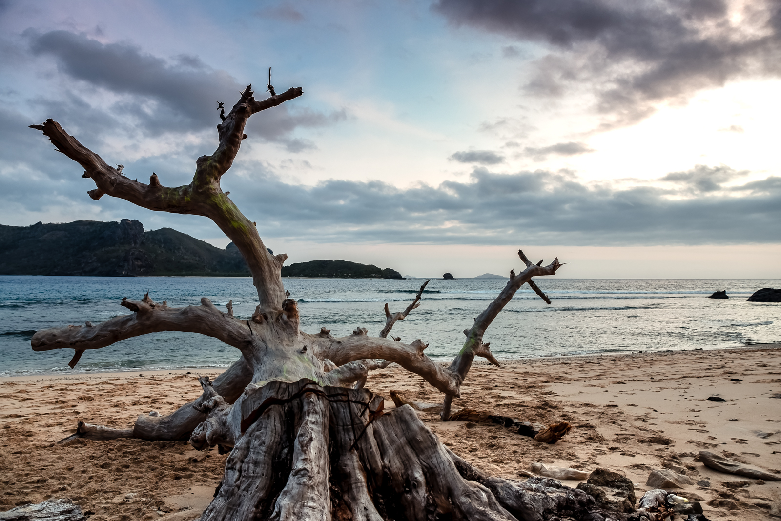 Waya island