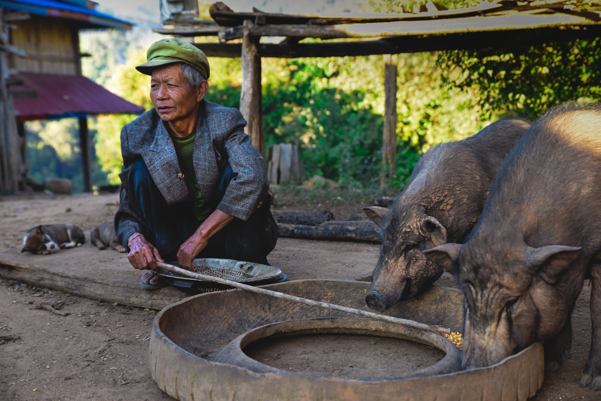 Phongsaly-village Akha