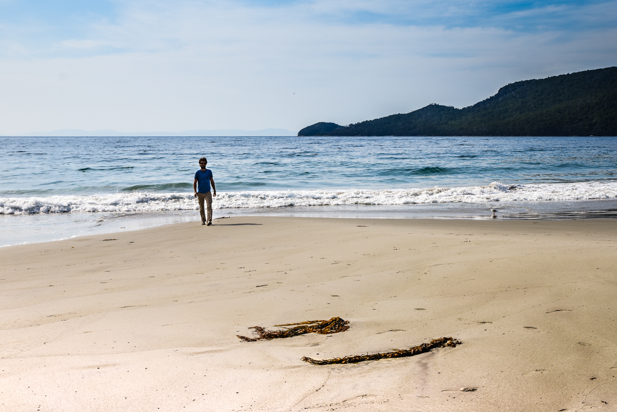 Tasmanie-White Beach sur la péninsule de Tasman