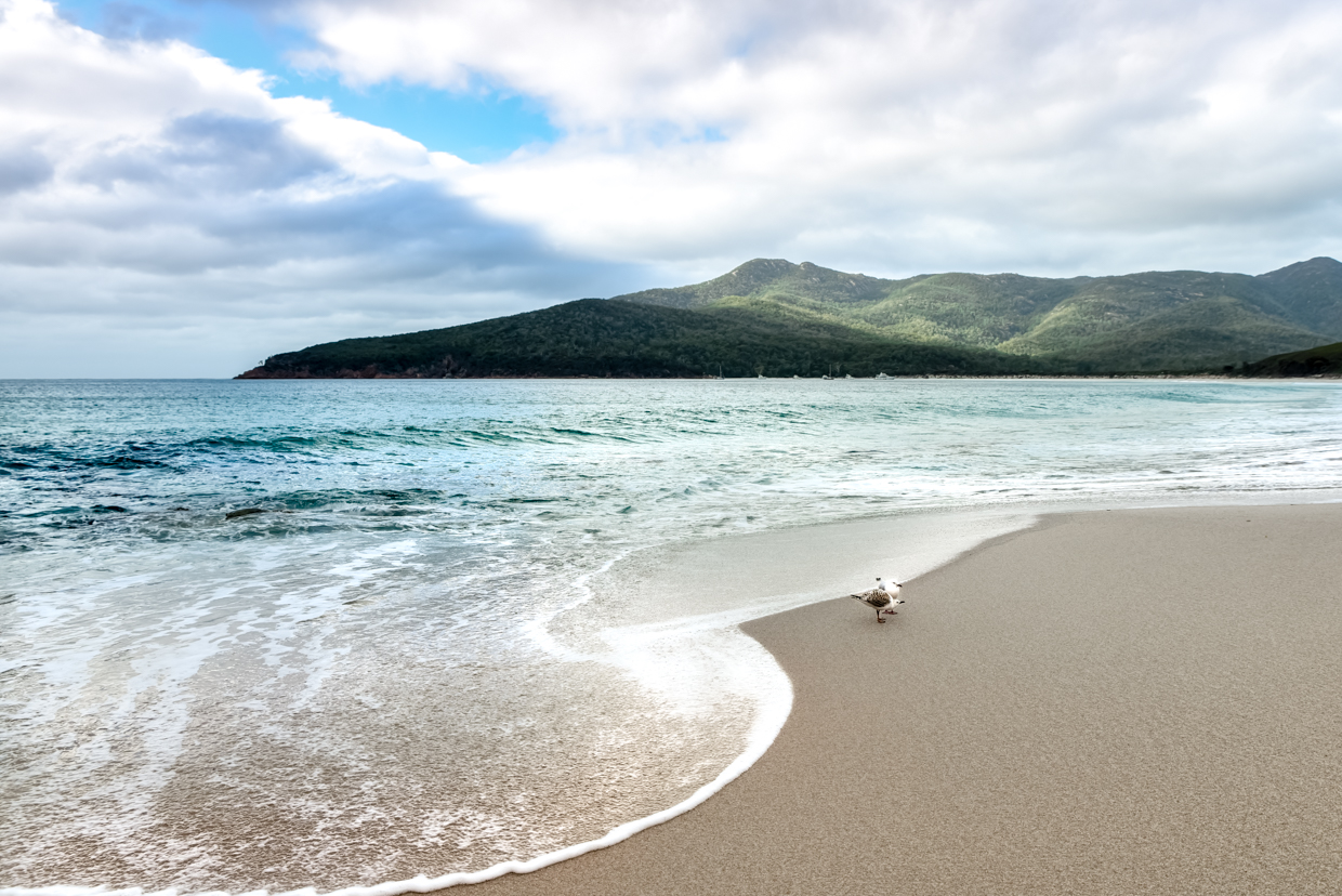 Tasmanie-plage de Wineglass Bay