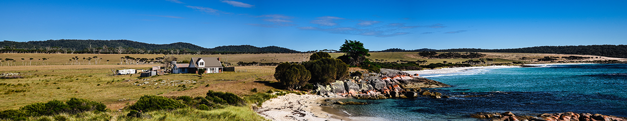 Tasmanie-The Gardens